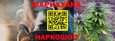 молекула духа Кингисепп