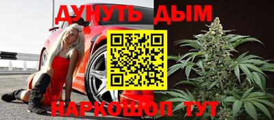молекула духа Кингисепп