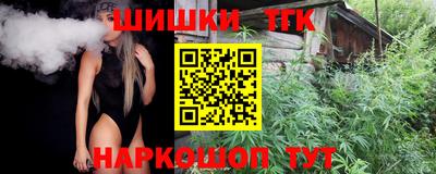 молекула духа Кингисепп