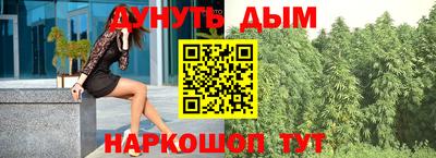 молекула духа Кингисепп