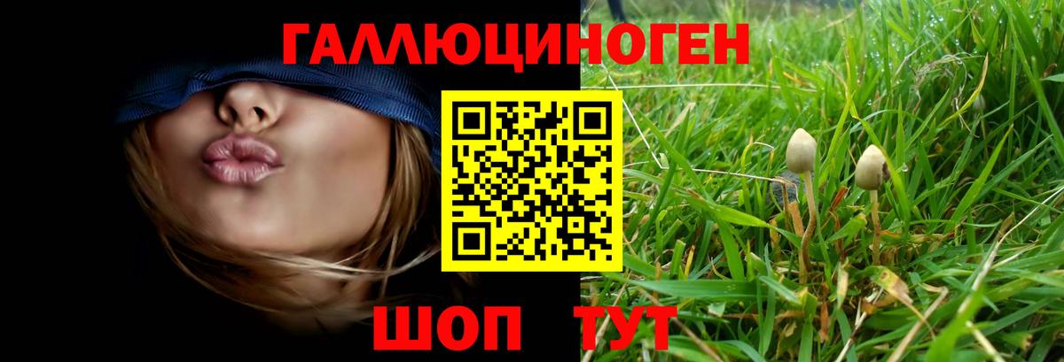 Галлюциногенные грибы Magic Shrooms Кстово